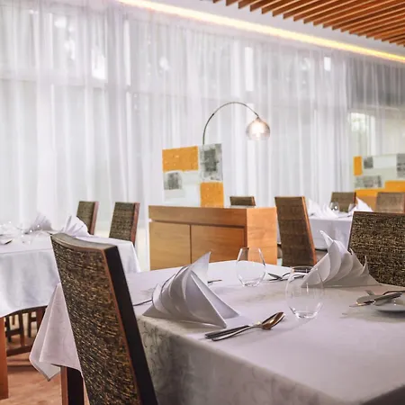 Ξενοδοχείο Janosik