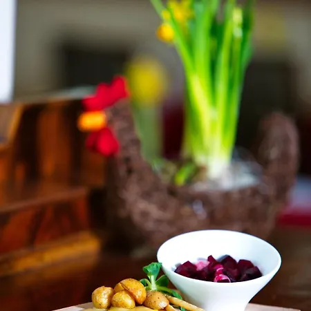 Ξενοδοχείο Janosik