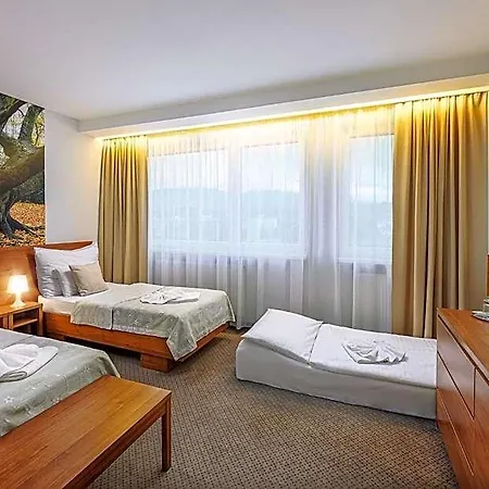 Janosik Otel 4*